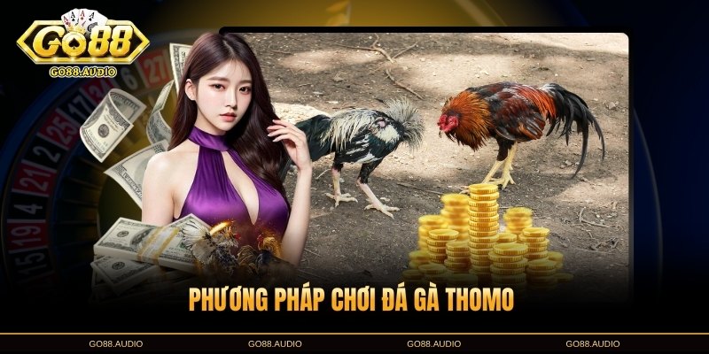 Chỉ Dẫn Phương Pháp Chơi Đá Gà Thomo GO88 Chuyên Nghiệp